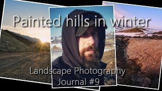 Painted Hills In Winter