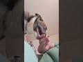 another oak vid for yall