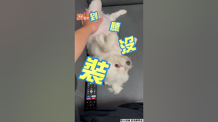登愣！飼主喊要洗香香　萌犬秒吐玩具「被石化」｜TVBS新聞｜擠看看 #shorts