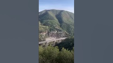 استغفر الله الذي لا إله إلا هو الحي القيوم وأتوب إليه القارئ عمر علي .
