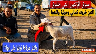 مباشرة من سوق الإثنين ابني خلوق اقليم سطات 08\06\2026 مع التمن خروف كسابي وحولية والنعجة🐏
