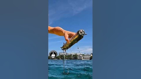 Would you dare to build one? Full tutorial  ⬆️ #rcsubmarine #esp32 #mechatronics