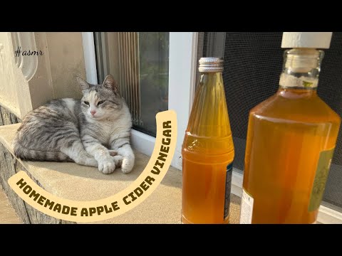 Homemade apple cider