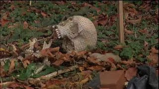 'Body Farm' coming to western Colorado