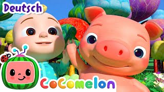 Tierisches Tanzlied | CoComelon - JJ's Animal Time Deutsch | Cartoons und Kinderlieder