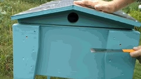 Langstroth Deep Frame Long Hive Build(How To)