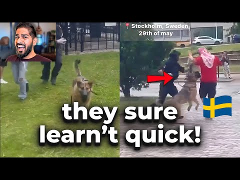Palestinian Muslims Introduced To Swedish Dogs!!!