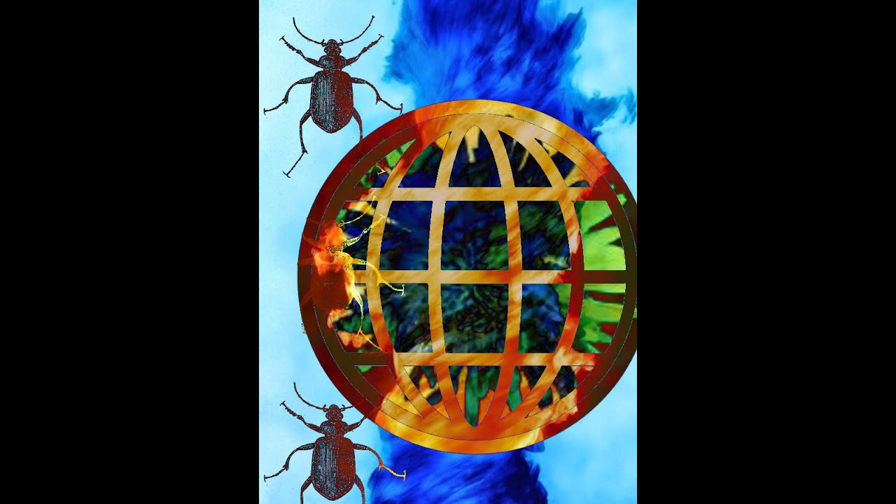 drum & bass beats. Inside you there is two wolfs, firm handshake.