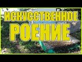 Искусственное роение пчел! Отделение пчел от расплода! Перезапуск семьи!