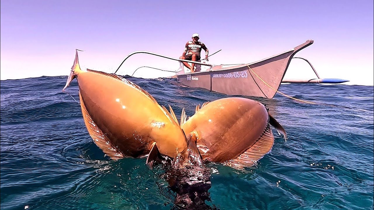 No.1 FISH IN THE ISLAND🇵🇭 | KINILAW with katas ng SANGA ng SINIGWELAS😋 