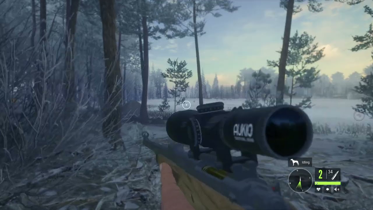 Insane Hunter Call of The Wild gameplay, lots of kills