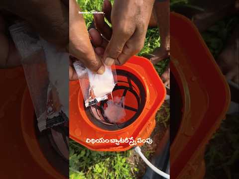 లిథియం బ్యాటరీ పంపుతో స్ర్పే చేస్తే 🤔 #ytviralshorts #agriculture  #lithiumbattery #battarypump.