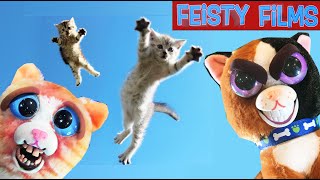Prankster Kitties on the Loose! Feisty Pets Housecat Frenzy by Feisty Films 3,461 views 4 months ago 8 minutes, 56 seconds