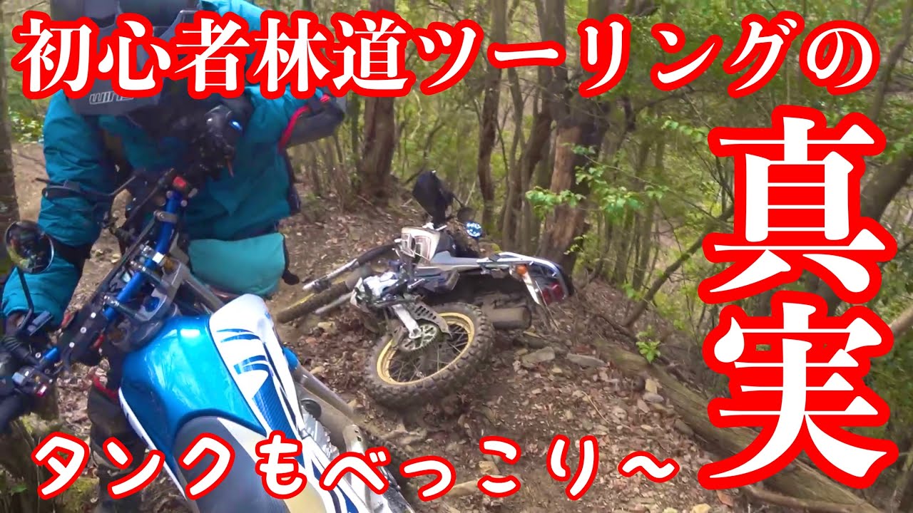 泥沼林道へ行った（後編）【モトブログ 】HONDA XLR250R - YouTube