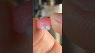 Will it Button? Tiny Teeth