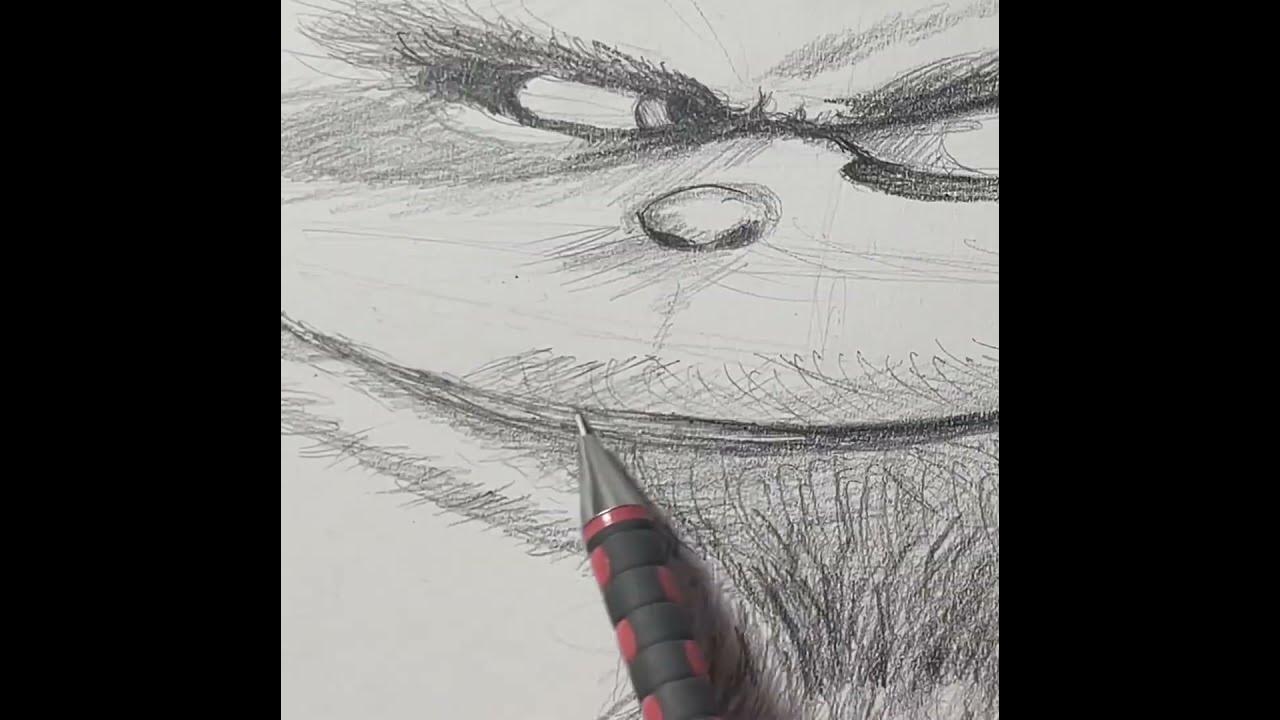 that-feeling-when-the-knee-surgery-is-tomorrow-ytshorts-viralvideo