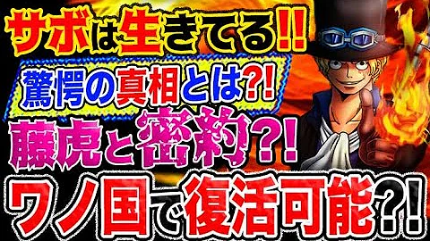 サボ死亡記事は革命軍の情報操作 ルフィのビブルカードをみてサボがワノ国に参戦 ワンピース 考察 Mp3