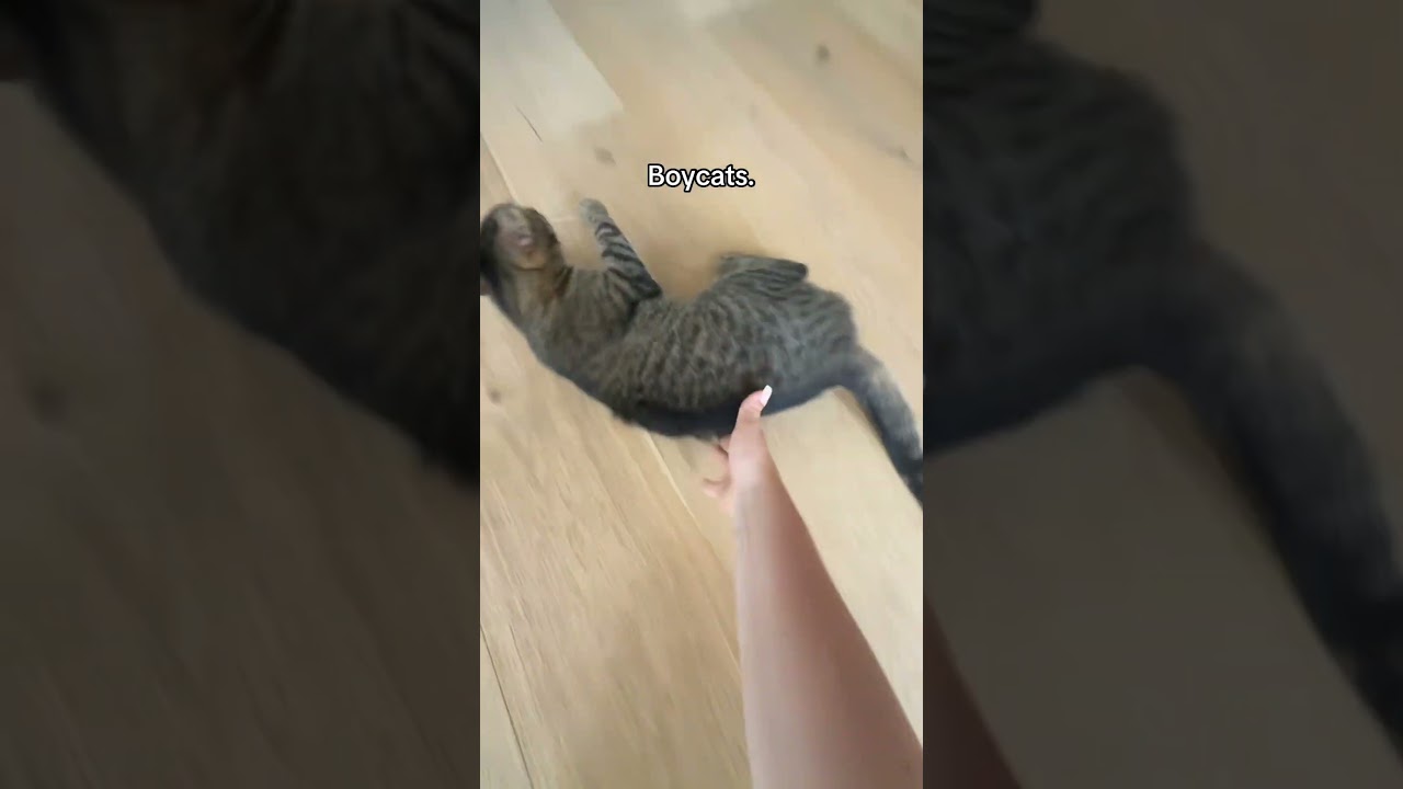 Er ist so süß💕✨