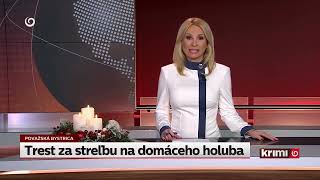 Poštove Holuby Krimi