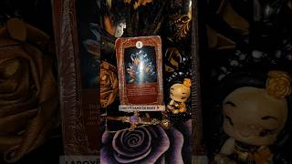 ~Carta do dia~🌛17/04/26 #tarot #cartomancia #cartomante #taromancia #espiritualidade #pravoce #yp
