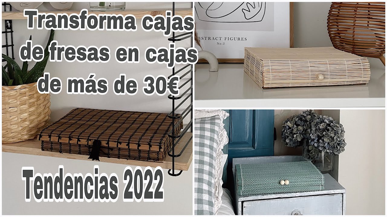 DIY Ideas 2022 para reciclar cajas de fresas /Tendencias deco