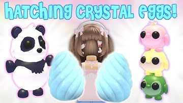 Hatching Crystal Eggs for Dango Penguins 2! | Roblox Adopt Me Pet Releaser | Riivv3r