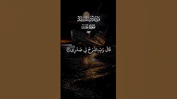 قال ربي اشرح لي صدري 🤲 تلاوه خاشعه بصوت #فارس_عباد #قران_كريم #quran #اكسبلور