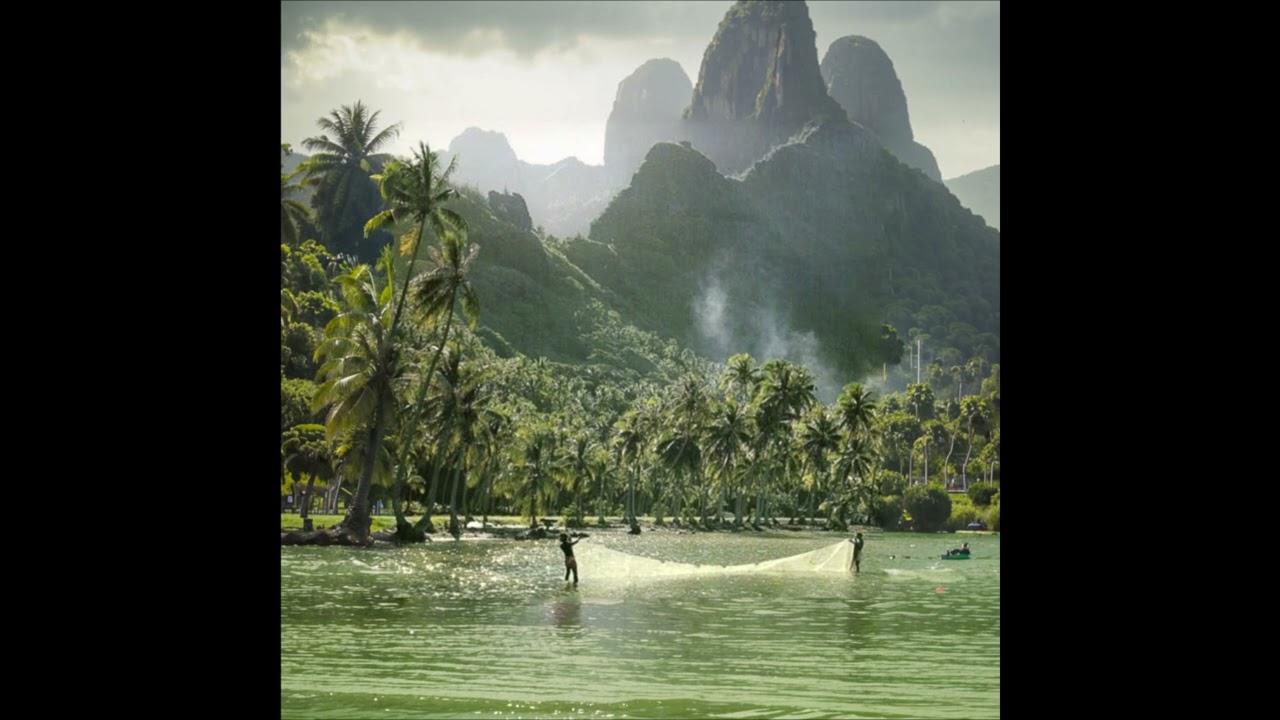 talinwya kelewya mingo type beat - BIRDMAN [p.jpxfred]