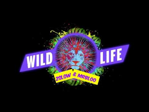 Wild Life (Remix)