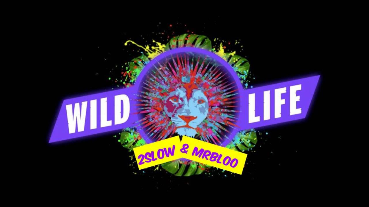 Канал дикий лайф. Wild Life игра. Вайлд лайф игра. Wild Life