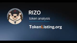 Haha Yes Hedgehog (RIZO) Token Analysis