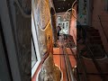 Museo Fallologico Reykjavik #shorts #videoviral #islanda #videooftheday