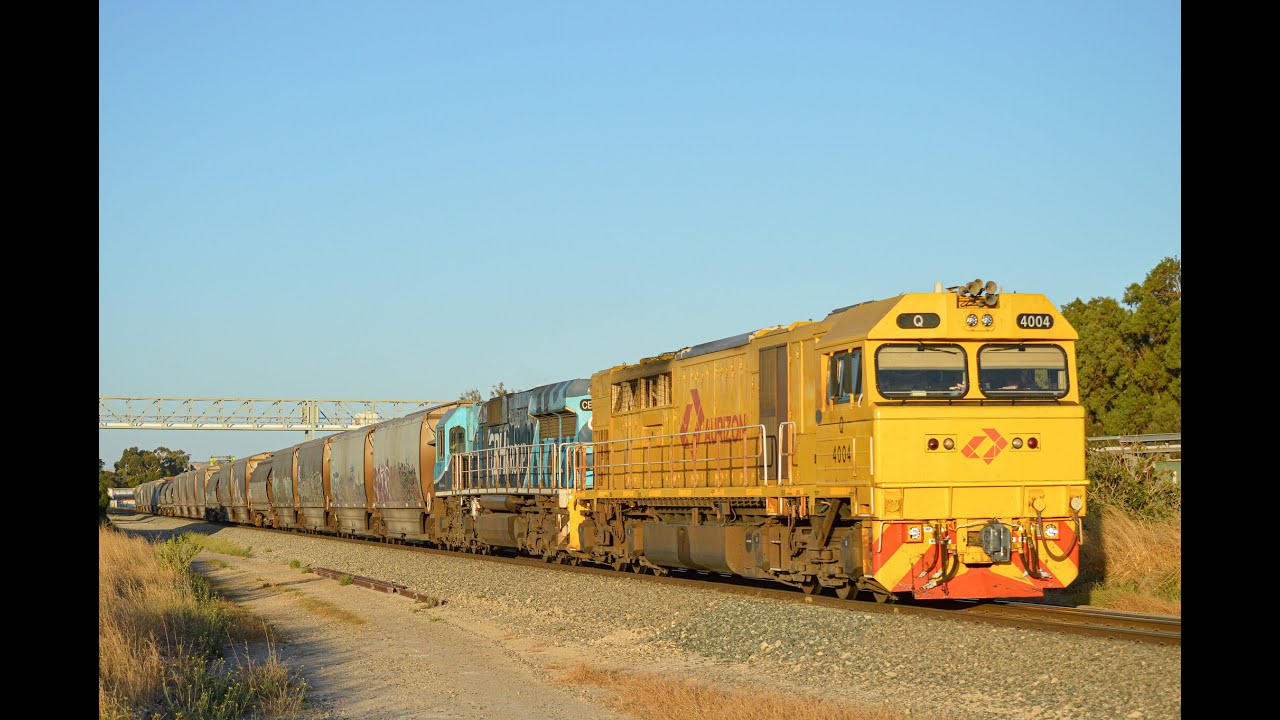 Freight Trains of Western Australia (Jan 2023) YouTube