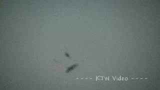 Three birds or one? by KJWVideo 20,003 views 14 years ago 38 seconds