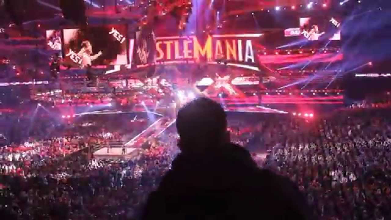 WrestleMania XXX: HHH/Daniel Bryan Live Entrance