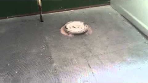 NJ Home Improvement Contractor- Pangione Developers Inc Add a Level Specialist