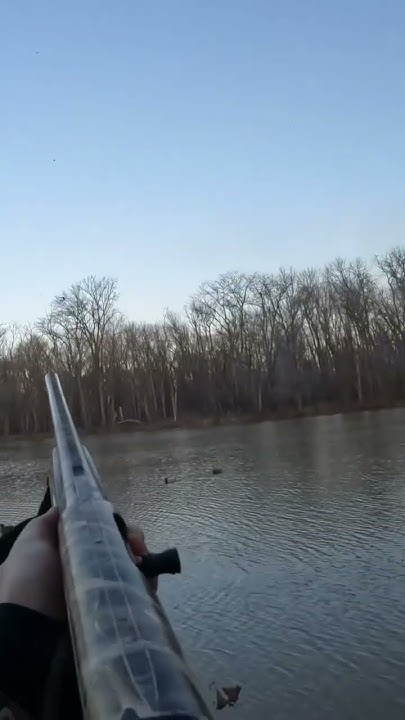 Illinois Duck Hunting 2024 New Regulations You Must Know - 4bxgcr4