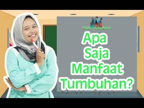 Video: Bagaimana tumbuhan bermanfaat bagi manusia?