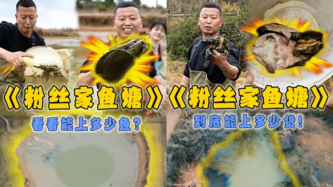 小飞哥花8800元包下全是大货的鱼塘，看看究竟能上多少鱼？｜开价8800元的鱼塘砍价到880元，看看里面到底能上多少货？