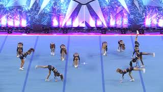 CheerForce WolfPack Crush   Mini X Small 1