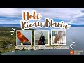 Review Hewan Peliharaan dirumah Penghobi Kicau Mania