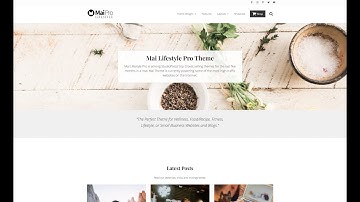 How To Easily Upload A Logo To Genesis Mai Pro Child Theme