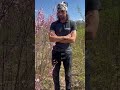 În ce moment al zilei se stropesc pomii