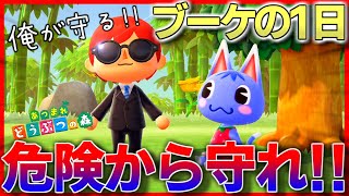 【あつ森】ブーケちゃんを1日密着して危険から全力で守ってみたｗｗｗｗｗ【あつまれどうぶつの森】【茶番】