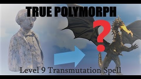 Making sense of the non-sensical spell, True Polymorph! (D&D Talk #3)