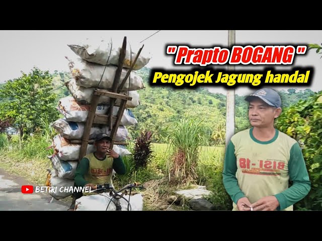 PRAPTO BOGANG Pengojek jagung handal class=