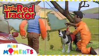 Little Red Tractor Saves Patch 🐶  | Little Red Tractor | Full Episodes | Mini Moments by Mini Moments  5,654 views 2 weeks ago 10 minutes, 1 second