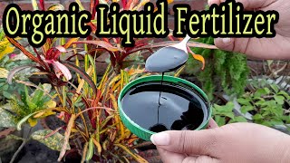 How to Make Organic Liquid Fertilizer from Molasses, Epsom salt & Potash for Plants