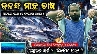 Biofloc fish farming in odisha[ଜଳଙ୍ଗ ମାଛ ଚାଷ]biofloc fish farming||Biofloc profit in odisha