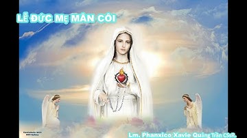 BÀI GIẢNG LỄ ĐỨC MẸ MÂN CÔI _ LM. Phanxico Xavier Quảng V. Trần, CSsR.